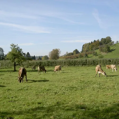 Dinkelbach Feriendomicil 2 E Degelstein